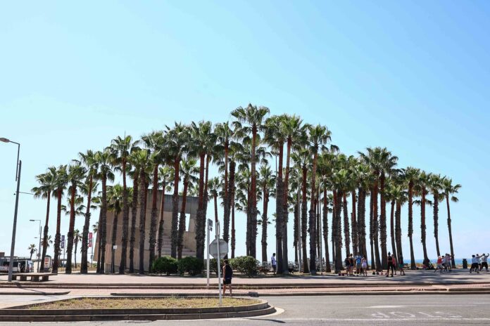 Plaza de las Palmeras (Castelldefels Digital)