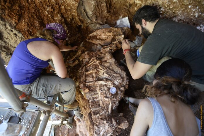 Momento de la extracción del fósil en el yacimiento (Ayuntamiento de Castelldefels)