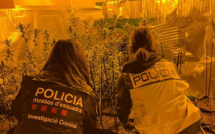 Agentes de Mossos y Policía Nacional (Mossos d'Esquadra)