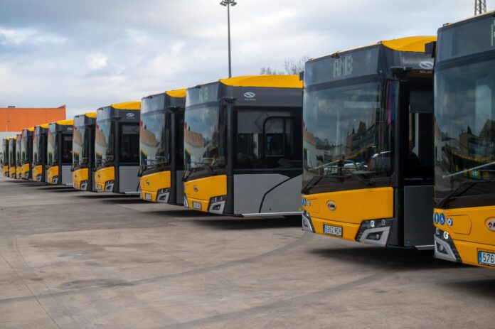 Nuevos autobuses (AMB)