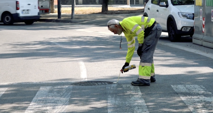Tratamiento de desinsectación (Ayuntamiento de Castelldefels)