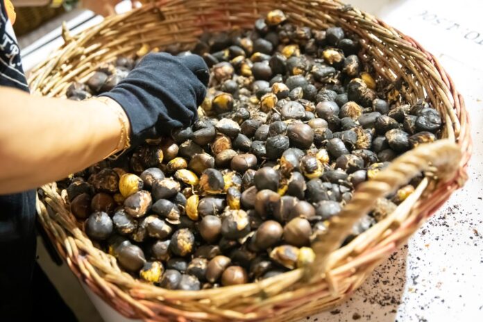 Castañas. Foto: Ayto. de Castelldefels.
