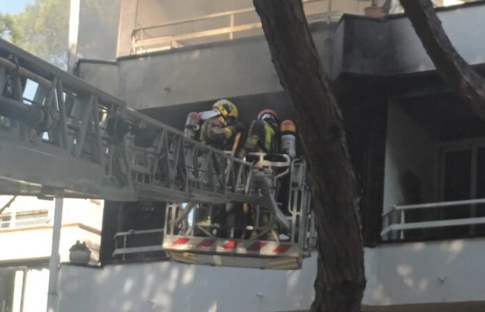 (Foto: Policía Local)