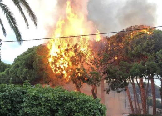 El incidente más destacado de la verbena fue el incendio en unos pinos en el passeig de la Marina