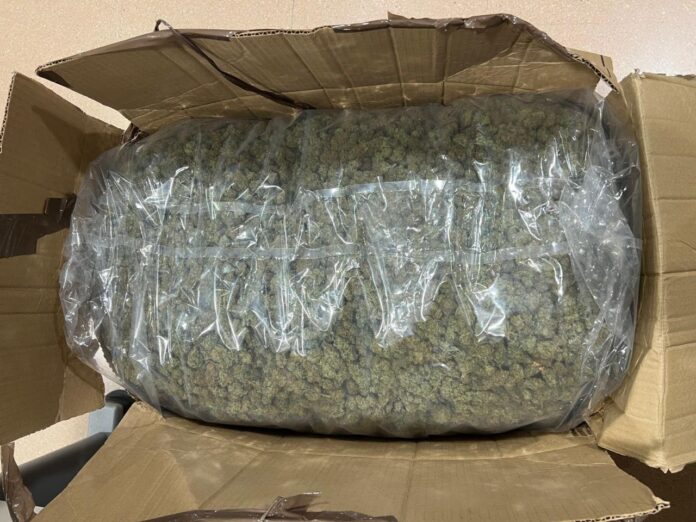 Los 13 kilos de marihuana requisada por los Mossos (Foto: Mossos d'Esquadra)