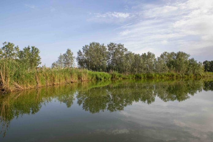 Olla del del Rei (Foto: Castelldefels Digital)
