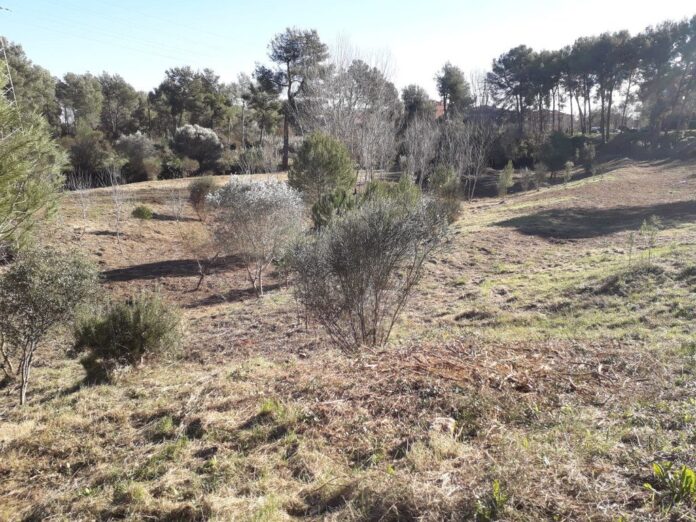 Franja perimetral (Foto: Ayuntamiento de Castelldefels.