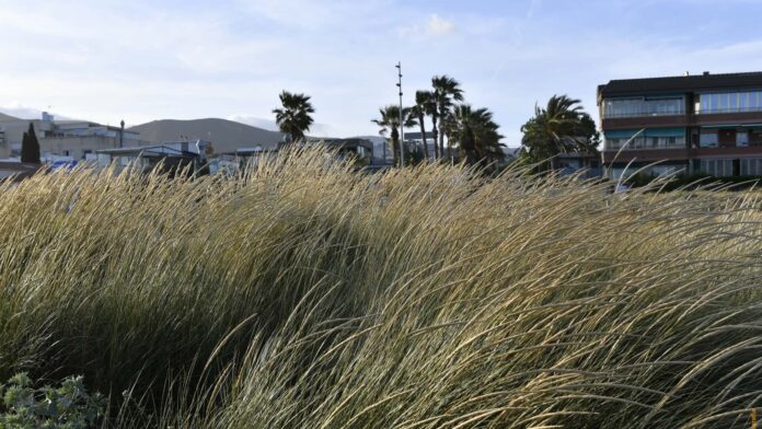 Paseo marítimo. Foto: Ayto. de Castelldefels.